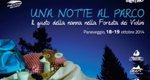 Una Notte Al Parco